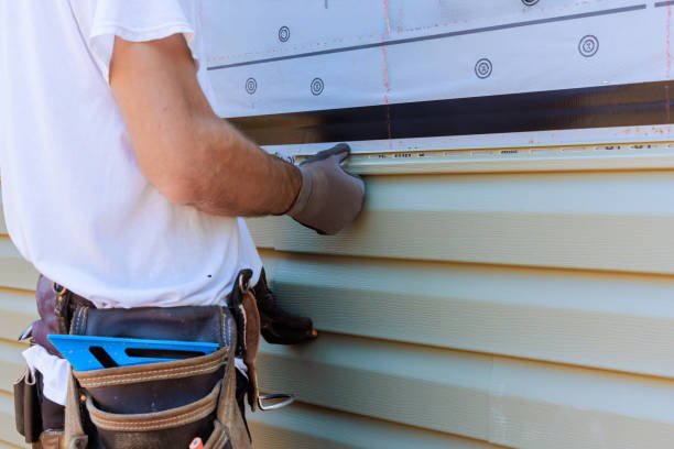 Best Custom Trim and Detailing for Siding  in Newcastle, WY